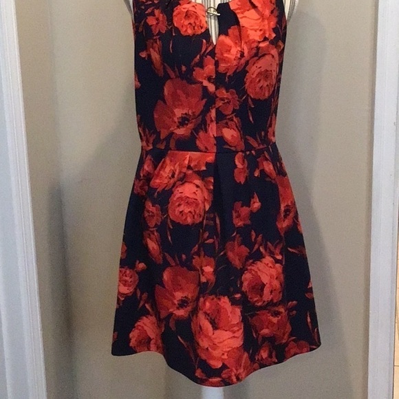 Enfocus Petite Sleeveless Floral Dress Size 10P - Picture 1 of 5